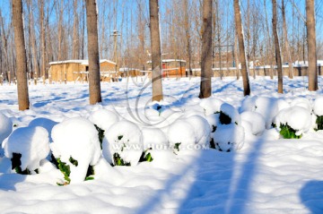 北方天空 大雪 雪后田野 天气