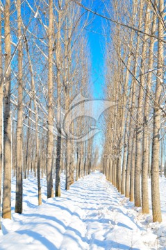 北方天空 大雪 雪后田野 天气