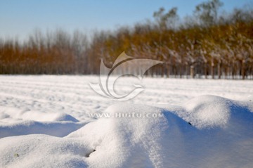 北方天空 大雪 雪后田野