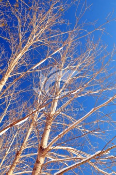 北方天空 大雪 雪后田野 天气