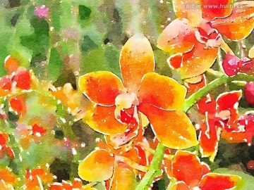 水彩畫 裝飾花卉