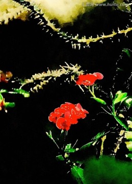 紅色花朵水彩畫