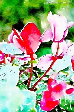鮮花水彩裝飾畫(huà)