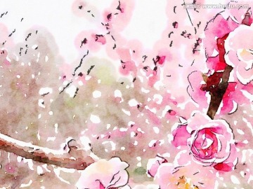 花卉水彩 裝飾畫