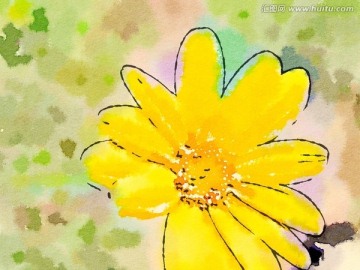 黃色花瓣 水彩畫