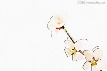 一枝桃花 水彩装饰画