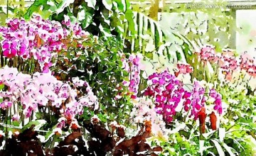 水彩花卉 裝飾畫