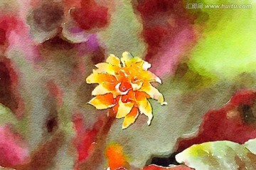水彩花卉 裝飾畫