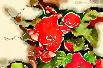 水彩花卉 裝飾畫