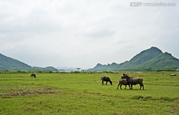 田园牧歌