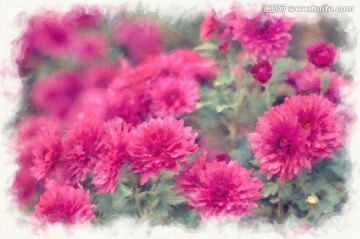 裝飾畫 花朵 TIF無分層