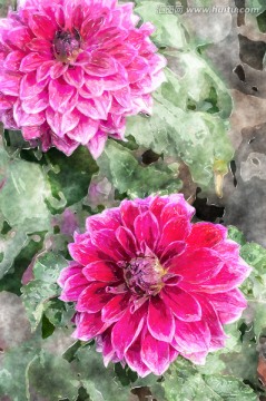 裝飾畫 花朵 TIF無分層