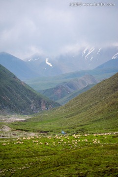 青海雪山牧场