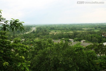 丛林 绿色植物 乡村道路