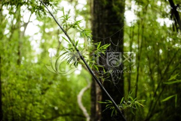 徒步雨崩