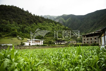 雨崩村