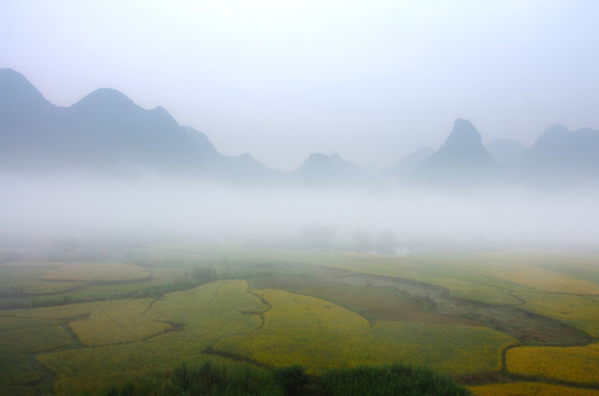 烟雨 水墨田园