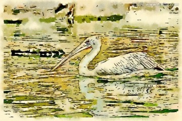 水鳥裝飾畫 水彩畫