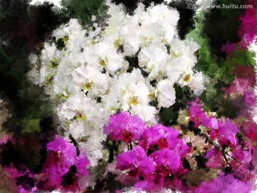 歐美油畫 抽象花卉裝飾畫