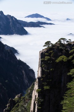 西海大峡谷 白云谷 云海苍茫