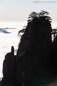 黄山 逆光剪影 云海苍茫