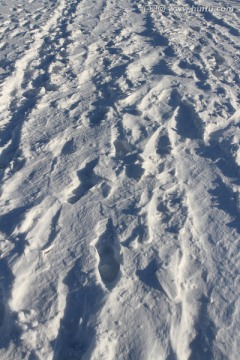 冬天 雪 白雪