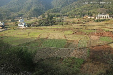 田野