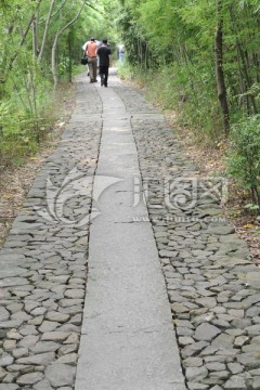 杭州西溪湿地