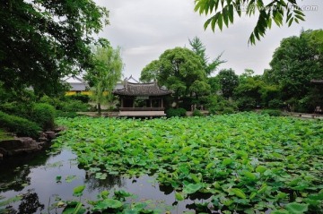 爱情名园沈园 夏