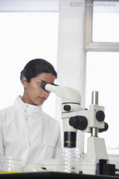 女性实验人员用显微镜