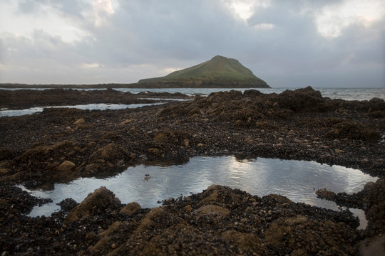 宁静的海岸