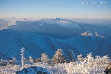 冬天雪景