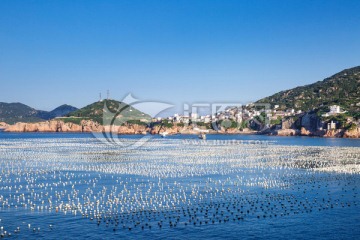 贻贝之乡枸杞岛