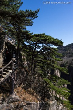 西海大峡谷 栈道 步道 游人