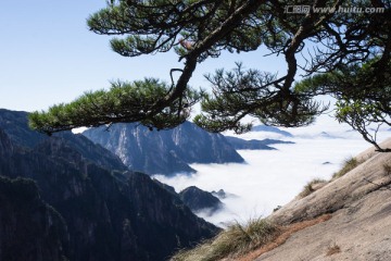 西海大峡谷 白云谷 云海苍茫