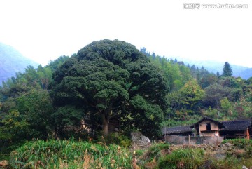 武宁太平山风情