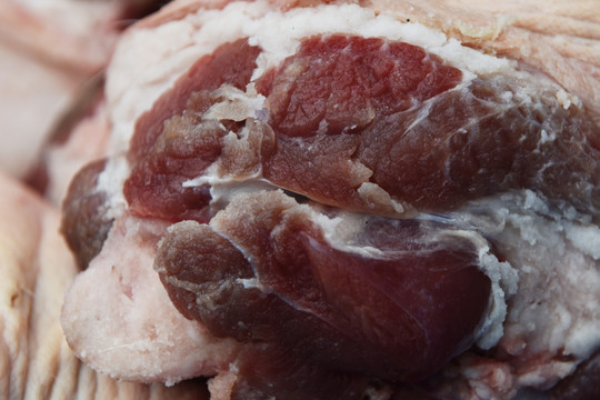 生態豬肉