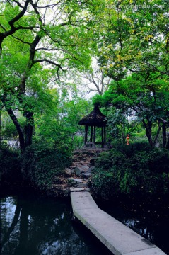 中国园林 沈园葫芦池石板桥
