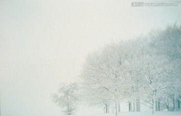 冬天雪景