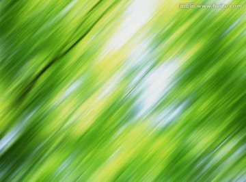 樹林景觀