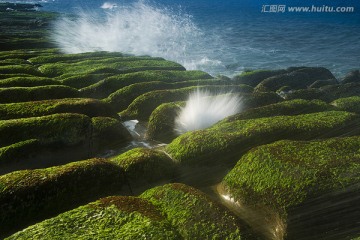 海岸覆盖着苔藓