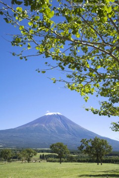 富士山