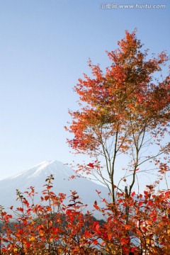 富士山