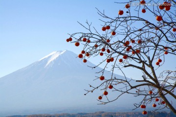 旅游度假区