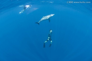 海底生物