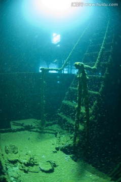 海底生物