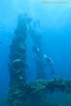 海底生物