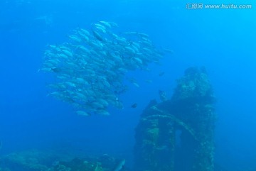 海底生物