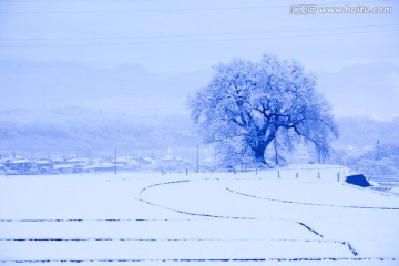 日本旅游度假区