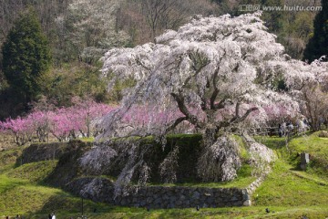 日本旅游度假区